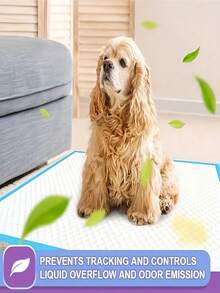 Super Absorbent Puppy Pee Pads Leak Proof Quick Dry Disposable Dog Training Potty Mats For Dogs Cats Thickened Pet Toilet Pads With Non Slip Backing For Indoor Use - Blue and White - View 7