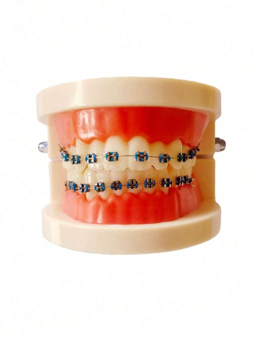 1PC Metal Orthodontic Bracket Model Dental Teeth Model Clinic Patient Communication Display Tool Teaching Aid Dental Office Decor Educational Demonstration Model High Precision Durable Easy Clean For Dentist Student Teacher Gift Idea - Multicolor - View 1