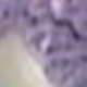 Mauve Purple