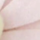 彩色
