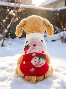 Festive Christmas Strawberry Graphic Pet Knit Pullover, Breathable Warm Winter Clothes, Fashion Pet Apparel For Holiday Photoshoots & Daily Use - C - View 5