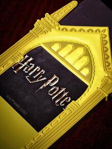HARRY POTTER X SHEIN خطاف بدون أثر - الذهبي - مشاهدة 3
