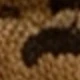 Estampado de leopardo 1