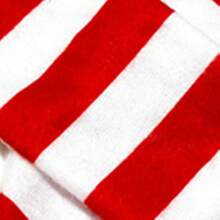 PETSIN Christmas Stripe Fashionable Pet Scarf, Christmas Gift - Red and White - View 6