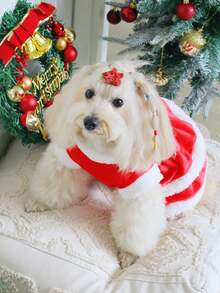 PETSIN Santa - Style Pet Christmas Dress With Plush Trim And Golden Buckle Belt - Red - View 9