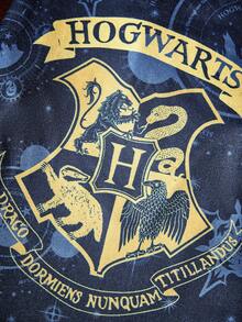 HARRY POTTER X SHEIN 1件裝魔法學院徽章印花寵物背心，透氣四季通用無袖狗貓衣服，多尺寸XXS-XXXXXL，輕量小狗小貓室內日常散步穿著套裝 - 藍色 - 查看 2