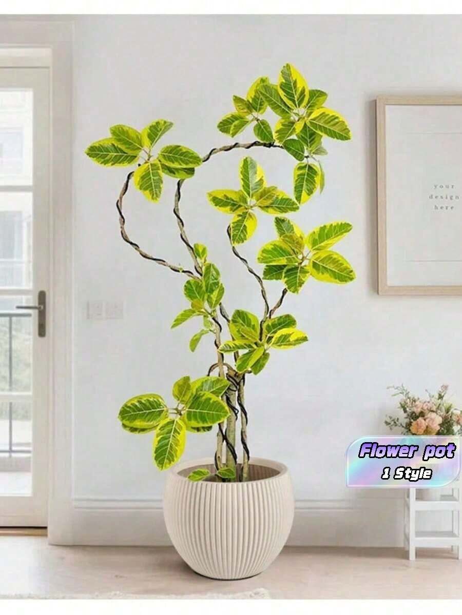 أصيص زهور دائري متعدد الاستخدامات بتصميم بسيط مخطط عمودي، مادة سميكة، ديكور نباتات داخلية عالية الجودة للأرضية - A - مشاهدة 1