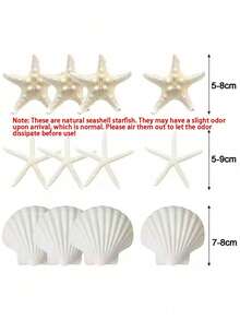 9/15pcs Starfish Decorations, Small Starfish For Crafts, Mini Shells For Crafts, Scallop Clam Shells For DIY Ocean Theme Party, Wedding, Gathering - multicolor - View 3