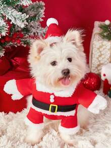 PETSIN 1set Santa Claus Costume, Santa Hat, Cat Winter Clothes, Dog Standing On Two Feet Clothes, Christmas Decorations - Red and White - View 15