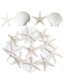9/15pcs Starfish Decorations, Small Starfish For Crafts, Mini Shells For Crafts, Scallop Clam Shells For DIY Ocean Theme Party, Wedding, Gathering - multicolor - View 2