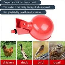 Automatic Chicken Drinking Cup - Bird Drinking System With Cup Opening Hole Group - Red - View 4