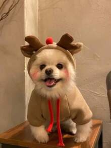 PETSIN 1PC Christmas Dog Costume Transformed Into Dog And Cat Clothes For Small To Medium-Sized Dogs. Fall And Winter Pet Supplies For Pets. Teddy Bear And Mastiff Cat Clothing. - Apricot - View 9