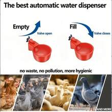 Automatic Chicken Drinking Cup - Bird Drinking System With Cup Opening Hole Group - Red - View 6
