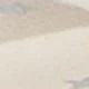 نجمة المشمش