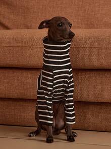 PETSIN Pawparrel Striped Long Sleeve Warm And Comfortable Sweatshirt, Autumn/Spring - Multicolor - View 7