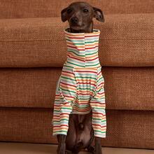 PETSIN Pawparrel Striped Long Sleeve Warm And Comfortable Sweatshirt, Autumn/Spring - Multicolor - View 14