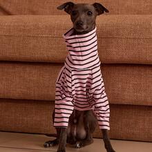 PETSIN Pawparrel Striped Long Sleeve Warm And Comfortable Sweatshirt, Autumn/Spring - Multicolor - View 13