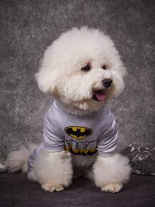 Batman X PETSIN 1件印花寵物連身衣 透氣柔軟舒適 防掉毛寵物套裝 - 彩色 - 查看 6