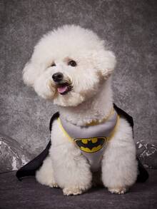 Batman X PETSIN 酷炫超級英雄寵物角色扮演服裝，貓狗通用，三件套寵物服飾組包含無袖背心、印花黑色披風與配套眼罩，適合萬聖節、角色扮演、主題派對與寵物攝影 - 黑色 - 查看 9
