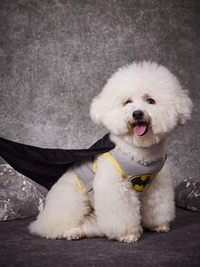 Batman X PETSIN 酷炫超級英雄寵物角色扮演服裝，貓狗通用，三件套寵物服飾組包含無袖背心、印花黑色披風與配套眼罩，適合萬聖節、角色扮演、主題派對與寵物攝影 - 黑色 - 查看 3