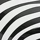 Black (zebra pattern)