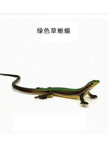 蜥蜴貓玩具 塑膠仿真爬行動物玩具 免電池互動運動咬咬玩具 幼貓與 6 個月以上成貓室內玩耍與訓練用品 - 彩色 - 查看 13