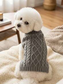 PETSIN 1 Piece Of Grey Minimalist Pet Sweater, Thickened For Warmth, Shed Fur, Pet Clothing - Multicolor - View 3