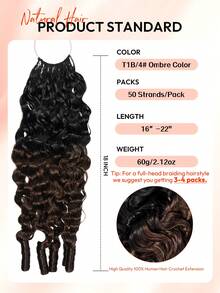 Boho Braids Brumese Curly 60g 50 Strands Human Crochet Hair For Women 14-22 Inch Burmese Curly Bundles 100% Remy Human Hair Pre-Separated Invisible Miracle Knots Feather Crochet Human Hair Boho Extensions Ombre Color T1B/4# - S1B/4 - View 5