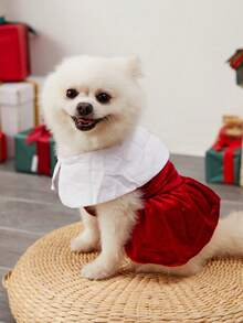 PETSIN 1pc Red & White Plaid Pattern Elegant French Style Pet Dress - Multicolor - View 9