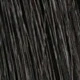 S1