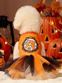 Care Bears X PETSIN 1pc Cute Little Bear Pumpkin Magic Mirror Printed Pet Skirt Soft, Comfortable, Breathable Pet Clothes - Multicolor - View 2