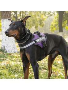 Dog Harness No-Pull Reflective Dog Vest Harness, Vest-Style Design With Monogram Pattern For Dogs Adjustable Harness,Easy Control For Small Medium Large Dogs,With Sticker 2 PCS - Multicolor - View 9