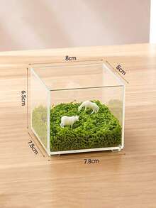 Haus Hana 1pc Square Ultra-Clear Plastic Fish Tank, Imitation Glass Aquarium, Mini Tank For Betta & Shrimp, Creative Desktop Decor - multicolor - View 14