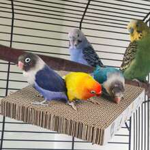 1/2 Pcs Parrot Chewing Platform Toy, Cardboard Cage Accessory, Bird Supplies & Accessories, Pet Bird Gear, Bird Perch Accessory, Budgie Cage Accessory, Toy & Entertainment Supply - A+B - View 6