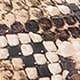 Brown python pattern