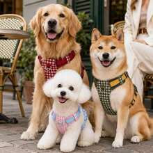 New 2 Pieces Dog Harness & Leash Set, Reflective Strip For Night Visibility, Lightweight Non-Stick Shoulder Protection, Ergonomic Design To Reduce Pressure, Anti-Pull Handle For Instant Control, High-Strength Metal Leash Clip, Durable Pom - Red - View 11