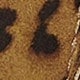 leopard print