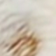 彩色