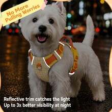 New 2 Pieces Dog Harness & Leash Set, Reflective Strip For Night Visibility, Lightweight Non-Stick Shoulder Protection, Ergonomic Design To Reduce Pressure, Anti-Pull Handle For Instant Control, High-Strength Metal Leash Clip, Durable Pom - Red - View 10