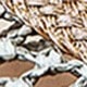 Brown velvet gray mat