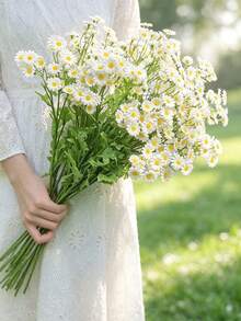 Rangkaian Bunga Daisy Chamomile Tiruan Gaya Kering, Tersedia Paket 6 atau 12 Buah (Opsional), Buket Genggam untuk Dekorasi Ruang Tamu, Pesta, dan Fotografi - Chamomile - View 2