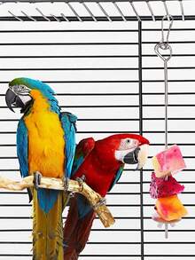 Stainless Steel Bird Fruit Forks - Parrot Cage Accessories Set For Fruit & Snack Feeding | Rustproof Chew-Proof Bird Supplies, Immediate Use Bird Toys - Silver - View 5
