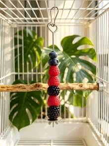 Stainless Steel Bird Fruit Forks - Parrot Cage Accessories Set For Fruit & Snack Feeding | Rustproof Chew-Proof Bird Supplies, Immediate Use Bird Toys - Silver - View 10