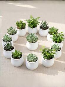 9PCS Mini Flower Pot Succulent Planter White Plastic Flower Pot Desktop Bonsai Pot Decorative Fake Plant Container Suitable For Desk Home Office Decor,Birthday Gift(Plants Not Included) - Multicolor - View 4