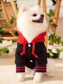 PETSIN Artist Retro Street Red & Black Colorblock Pet Print Sweatshirt 1pc, Holiday - Multicolor - View 8