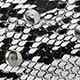 Black and white snake pattern