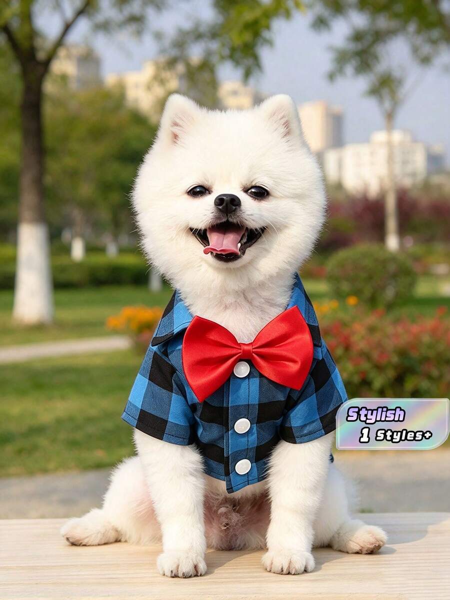 1件格紋襯衫,適合貓狗在春夏穿著 - 藍色 - 查看 1