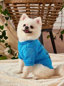 PETSIN 1件裝藝術女孩風藍色皇冠與可愛寵物圖案日系可愛保暖 - 彩色 - 查看 8