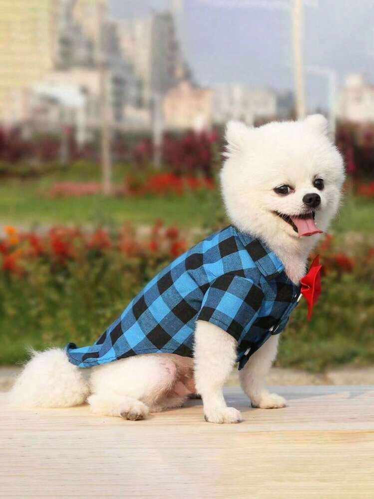 1pc Grid Patterned Shirt Suitable For Cats And Dogs In Spring And Summer - Blue - View 5