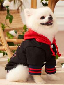 PETSIN Artist Retro Street Red & Black Colorblock Pet Print Sweatshirt 1pc, Holiday - Multicolor - View 7